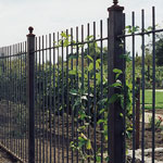 Wrought iron metal fence and railing